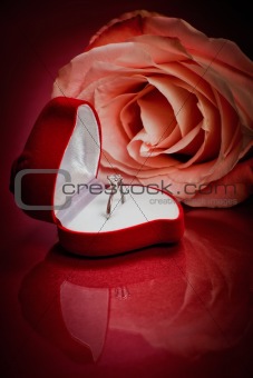 Close-up of pink rose with diamond ring