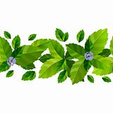 Seamless background with fresh green mint leaves