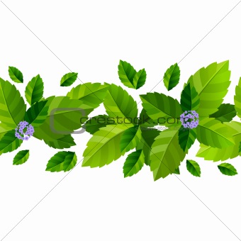Seamless background with fresh green mint leaves