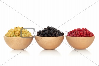 White, Black and Red Currant Fruit
