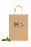 Recycled Paper Shopping  Bag