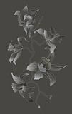 orchid branch on grey background