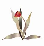 red tulip vector 1