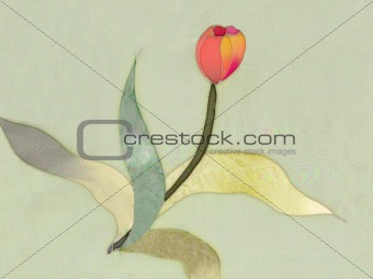 red tulip on grey background 