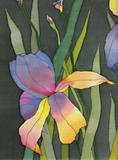 batik iris background