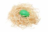Easter Egg on Straw Nest