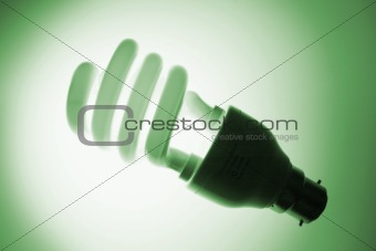 Fluorescent Bulb with Blue Tone