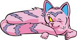Pink cat watched furtively
