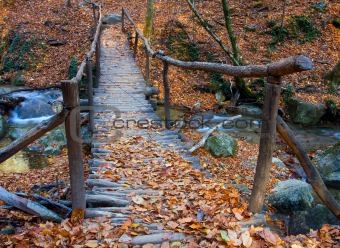Wooden bridge over brook