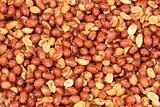 Background of pine nuts