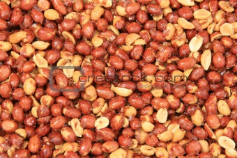 Background of pine nuts