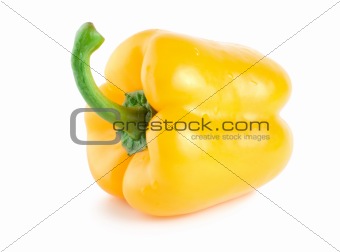 Fresh wet yellow pepper