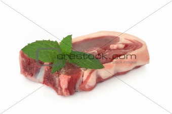 Lamb Chop with Mint Leaf