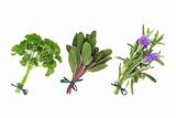 Parsley, Sage and Lavender Herbs