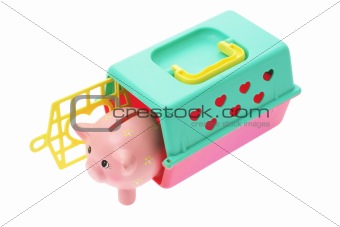 Piggybank in Plastic Box