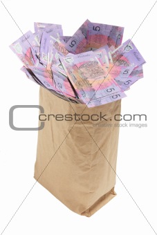 Paper Bag with Dollar Notes