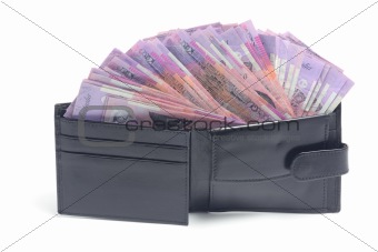 Wallet with Banknotes