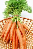 Carrots in Basket