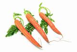 Carrots with Leaves on White Background
