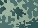 Khaki Camouflage