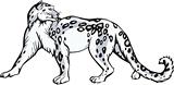 Snow leopard design