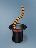 magic hat with tiger tail