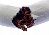 Quit Smoking - Broken cigarette isolated over white