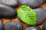 zen or spa stones