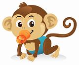 Baby Monkey With Pacifier
