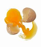 cracked egg