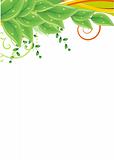 Abstract green floral background with leaves