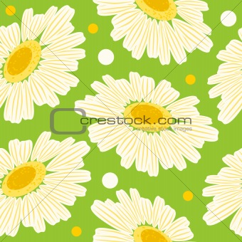Seamless floral pattern with white daisy