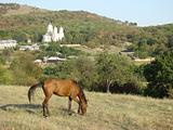 horse & monastery