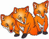 Three Foxes