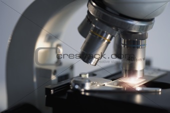 Microscope with slide