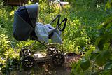 baby carriage in the garden