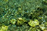 Emerald water