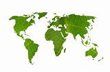 world map leaf