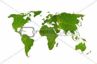 world map leaf