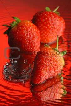 Strawberry #3