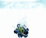 Splash grape