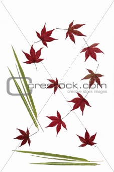 Bamboo and Acer Leaves