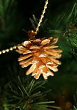 Gold pine cones