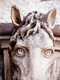 Old horse head sculpture