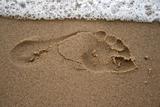 FootPrint on a Sandy Beach