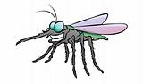 Cartoon Mosquito