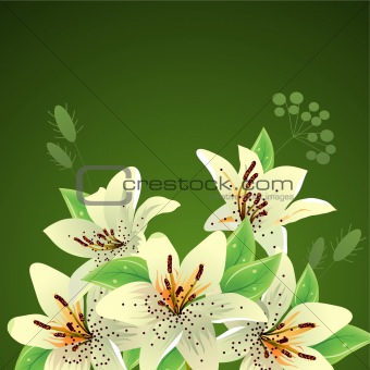 White lilies on green background