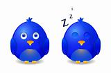 blue bird awake and sleeping