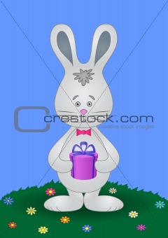 Rabbit with a gift on meadow