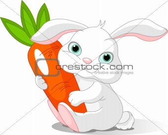 Rabbit holds giant carrot
